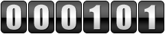 website counter
